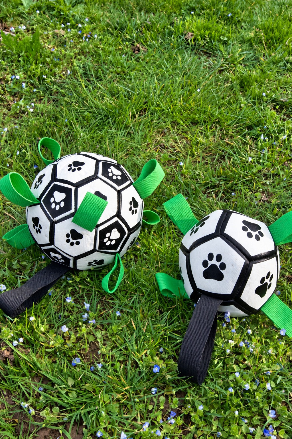 Il Derby – 12 + 15 cm