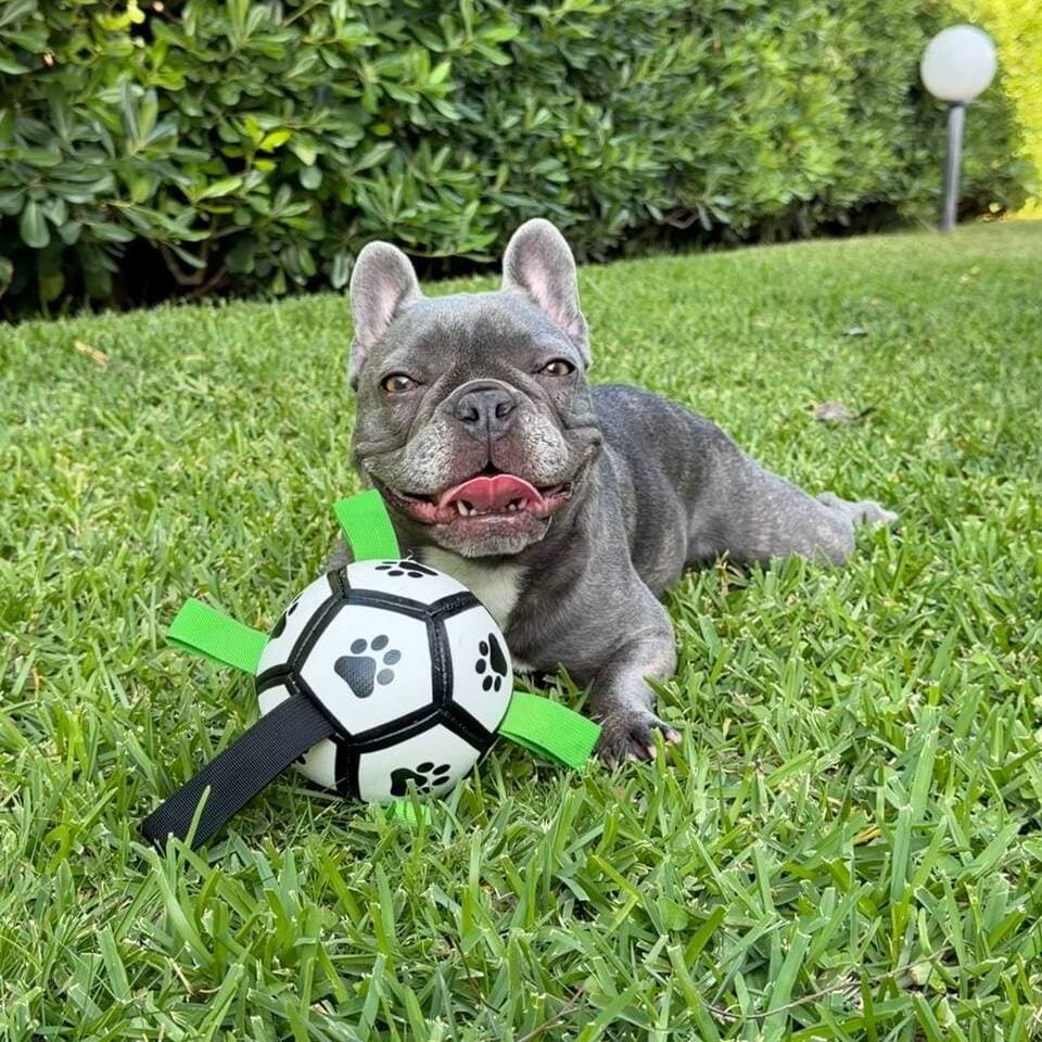 GripBall - Una palla che resiste davvero