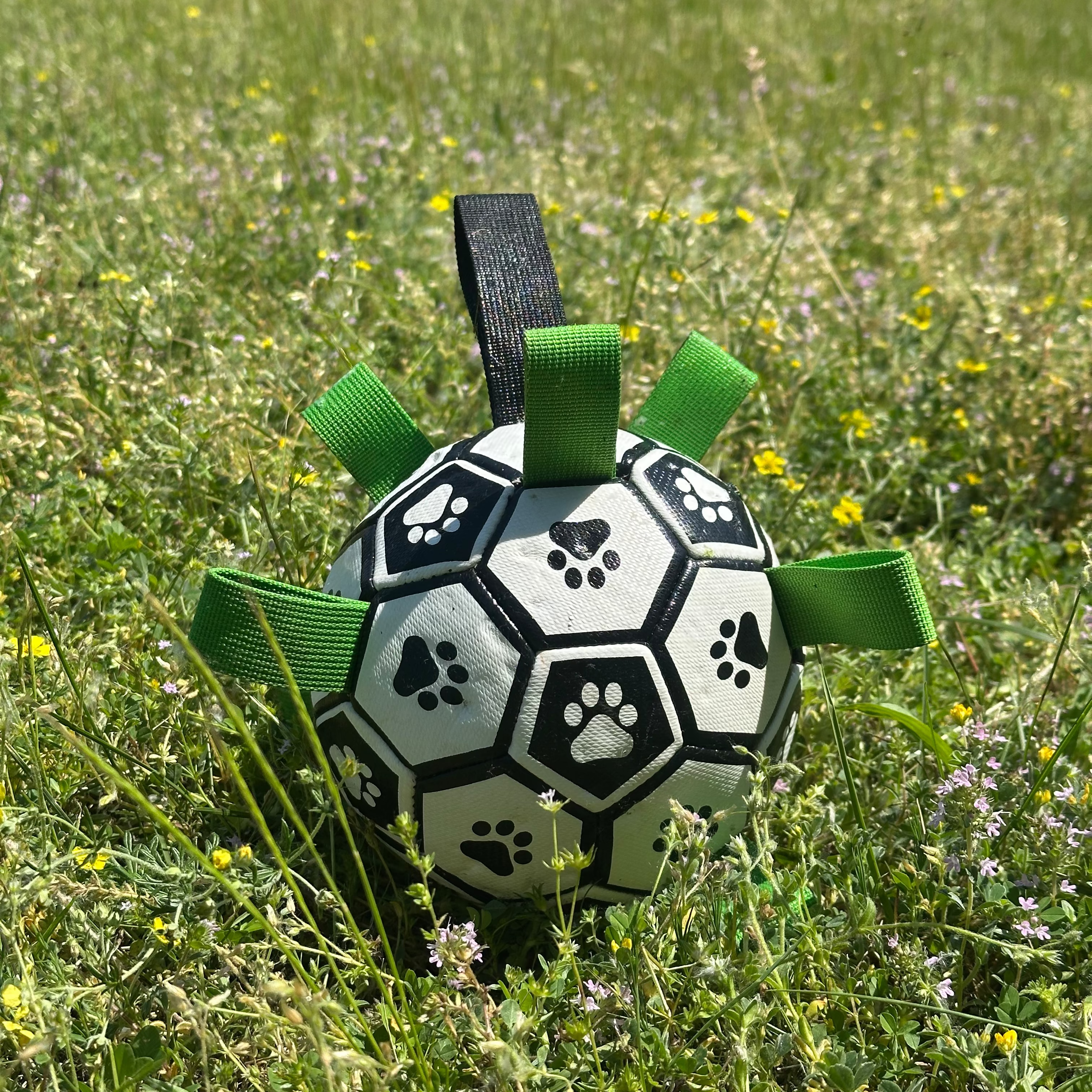 Puppalo™ GripBall   -                                     La soluzione per cani distruttori