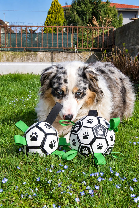 Il Derby – 12 + 15 cm