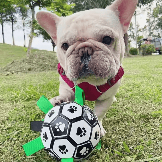 Puppalo™ GripBall - Gioco per cani super resistente