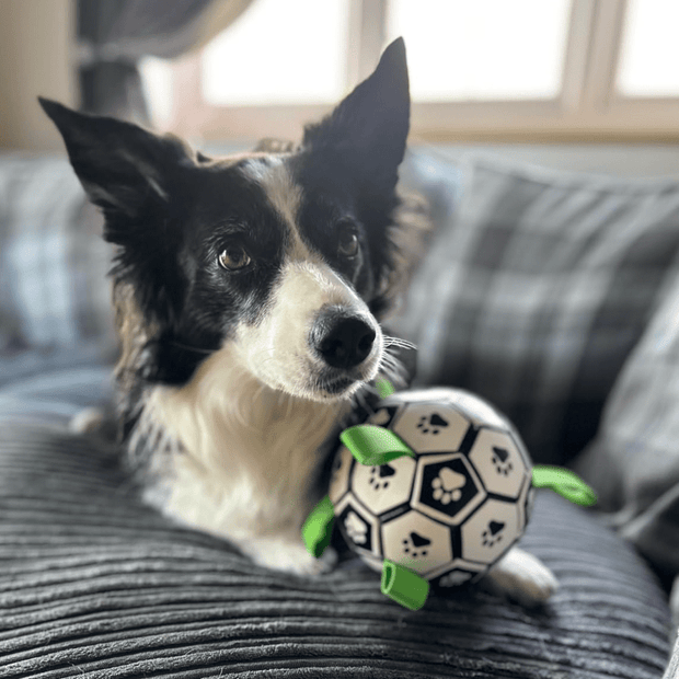 Puppalo™ GripBall - Gioco per cani super resistente
