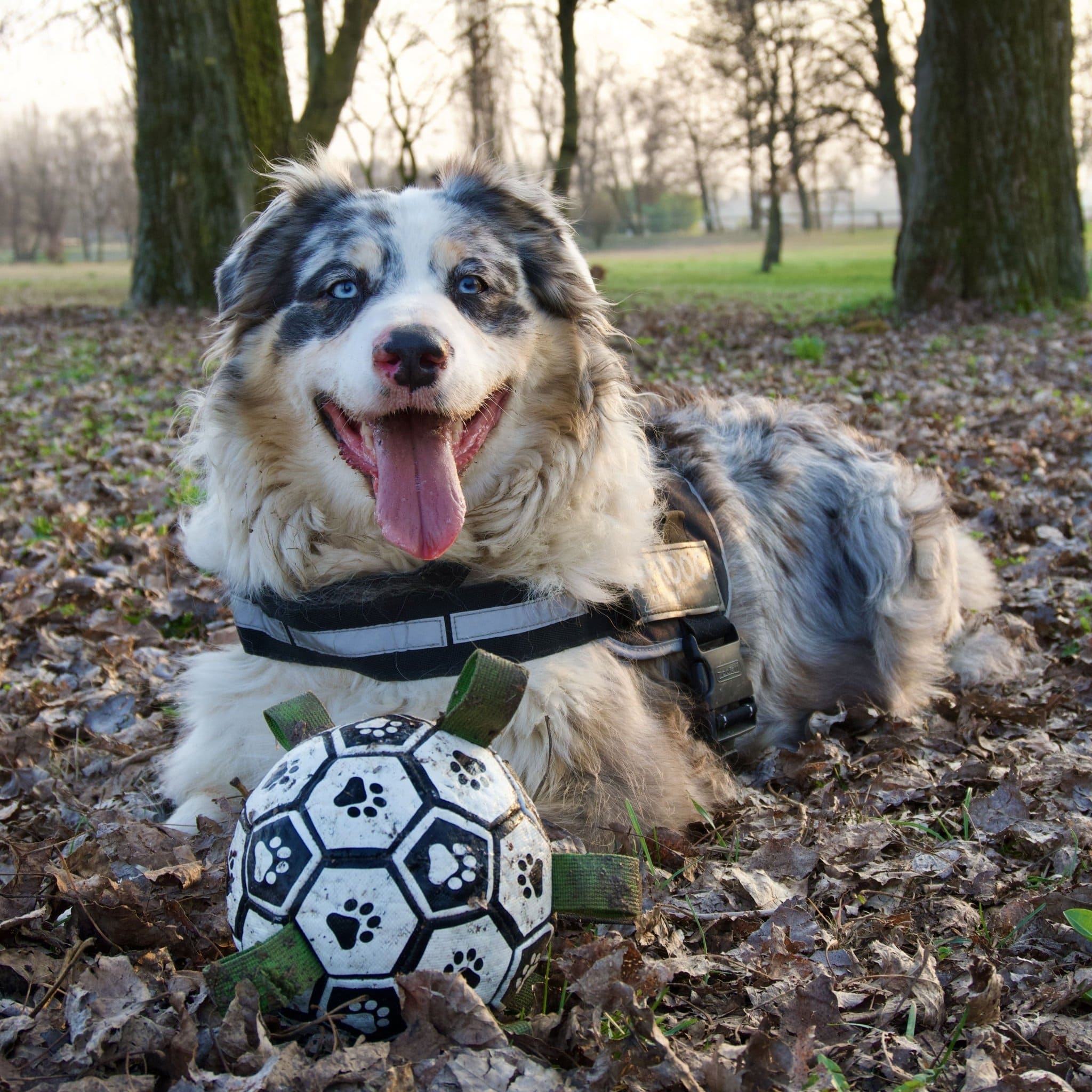 GripBall - Finalmente una palla che resiste davvero.