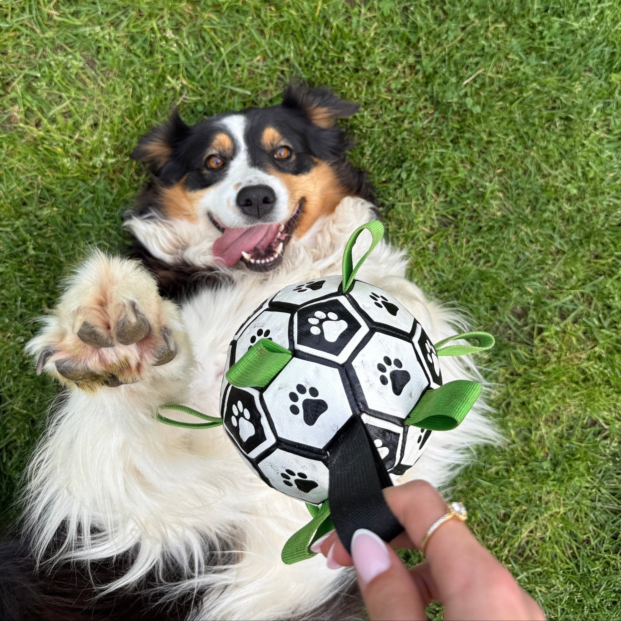 Puppalo™ GripBall - Gioco per cani super resistente