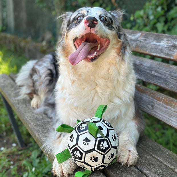 Puppalo™ GripBall - Gioco per cani super resistente