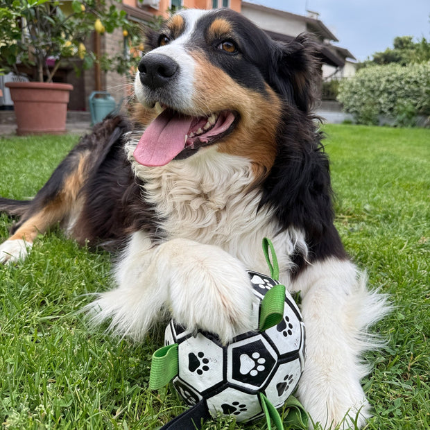 Puppalo™ GripBall - Gioco per cani super resistente