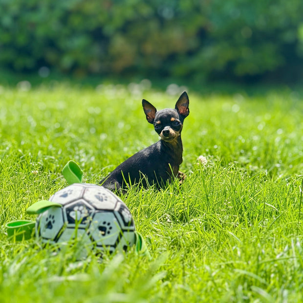 Puppalo™ GripBall - Gioco per cani super resistente