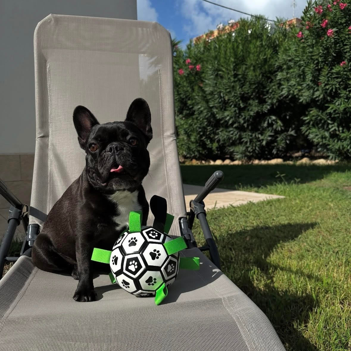 unnamed.jpg__PID:80c49587-88e3-4589-a9d7-557f6422a723