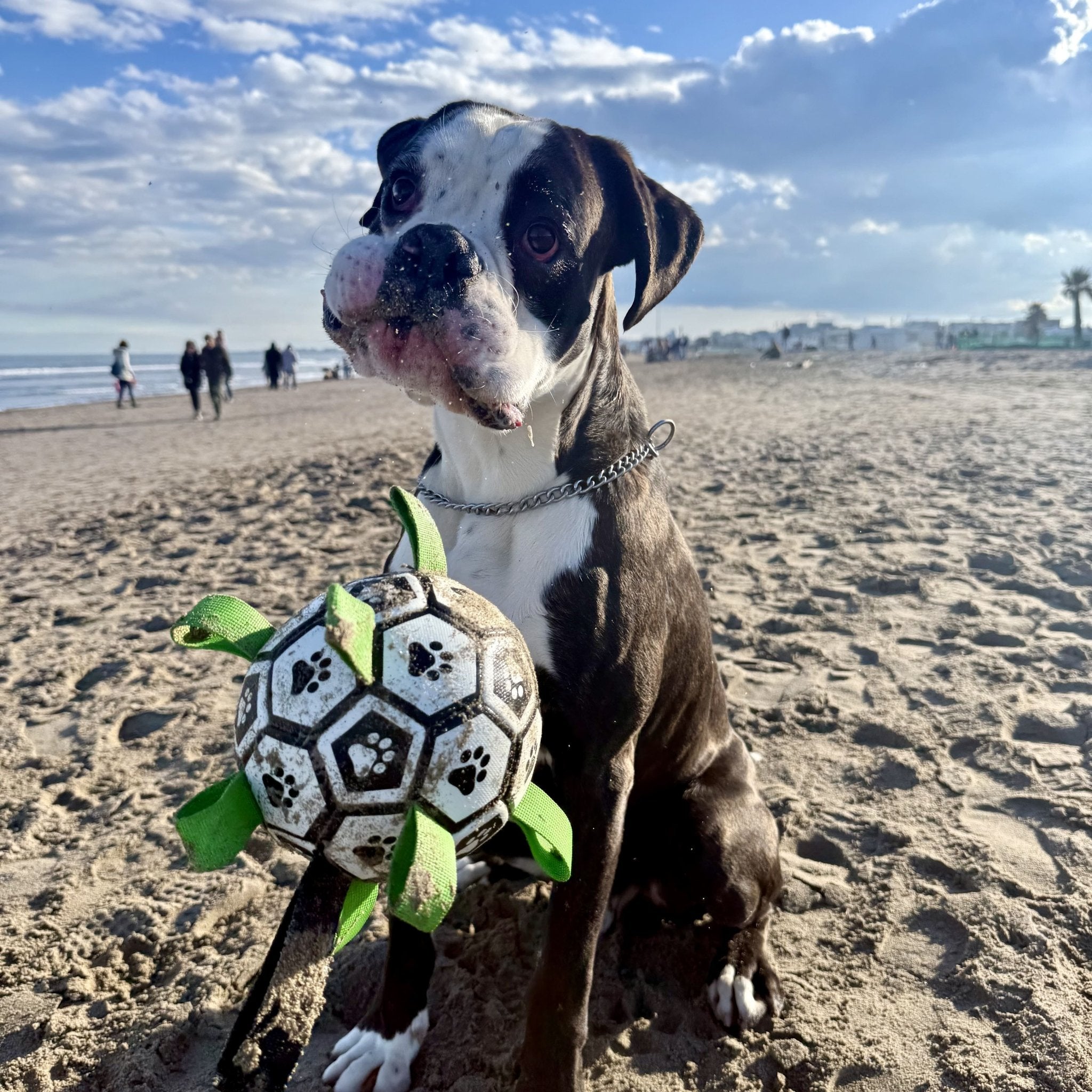 Puppalo™ GripBall   -                                     La soluzione per cani distruttori